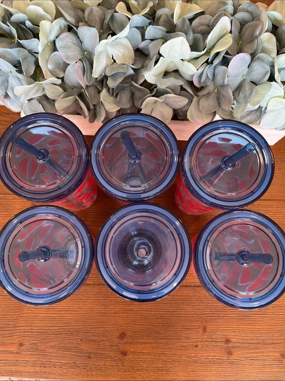 NWT Set of 6 Watermelon Print Tumblers with Blue Lids and Straws